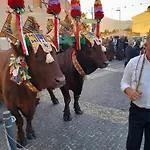 Lägenhet Sardinia Experience Villamassargia