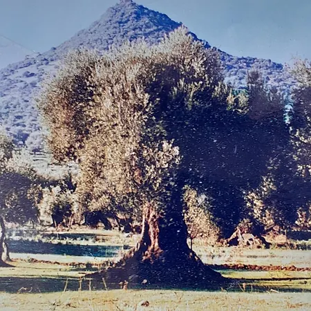 Sardinia Experience Lägenhet