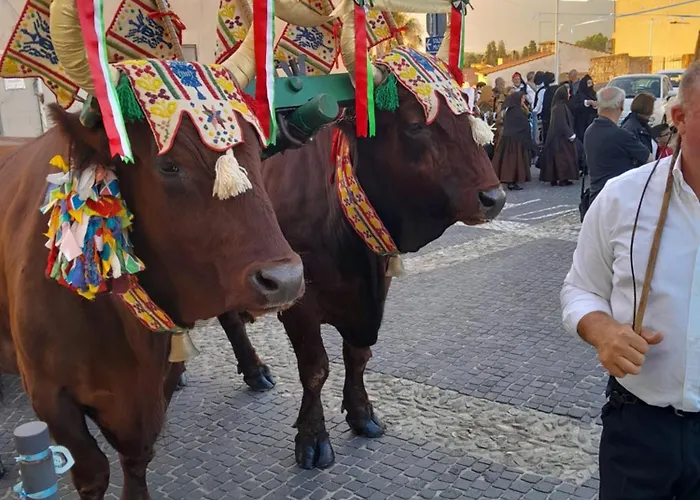 Apartman Sardinia Experience Villamassargia