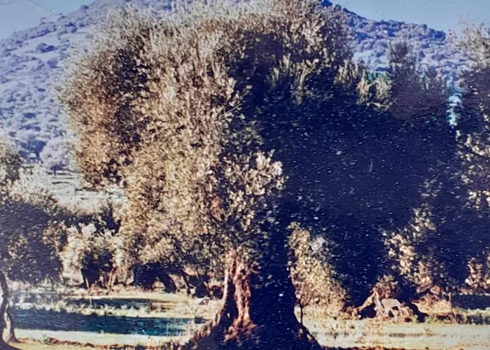 Sardinia Experience Apartman